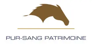 Pur Sans Patrimoine logo